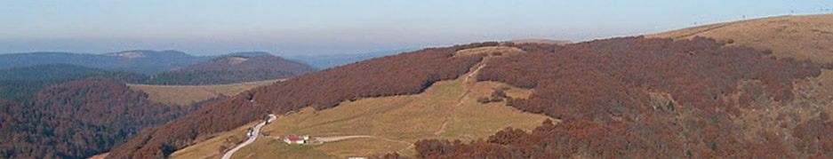 panoramic2.jpg