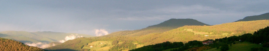 panoramic4.jpg