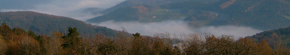 panoramic5.jpg