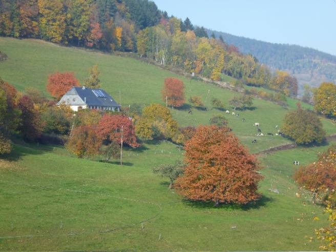 \"La Gasse\" in fall