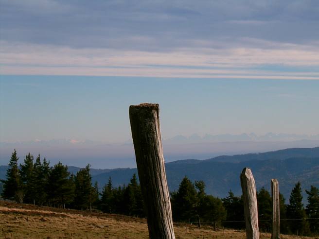 Swiss Alps chain from\" Surcenord\", 45' walk from the gite