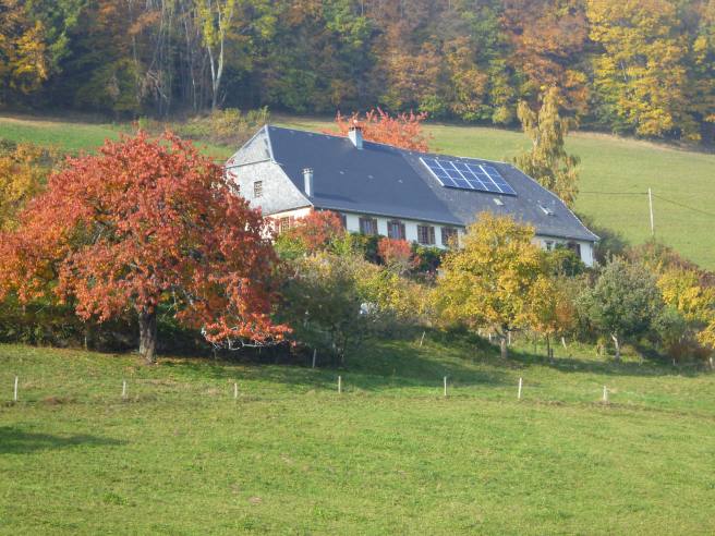 \"La Gasse\" in fall