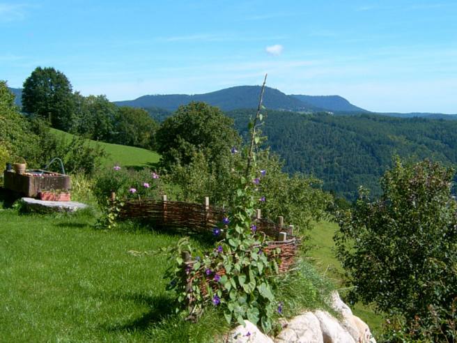 The terrace in front of the house