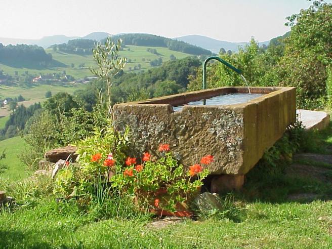 Fontaine devant la maison