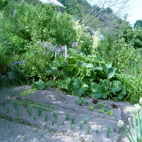 The organic vegetable garden