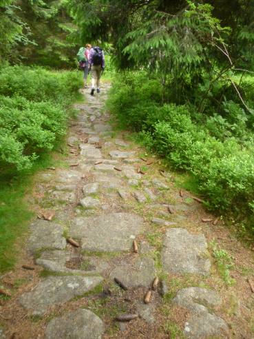 Sentier muletier de 1914 au pied de la Tête des Faux